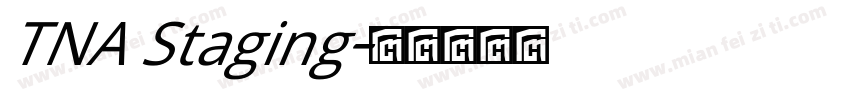 TNA Staging字体转换